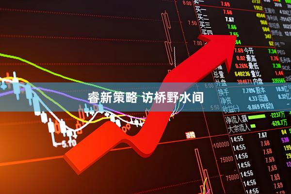 睿新策略 访桥野水间