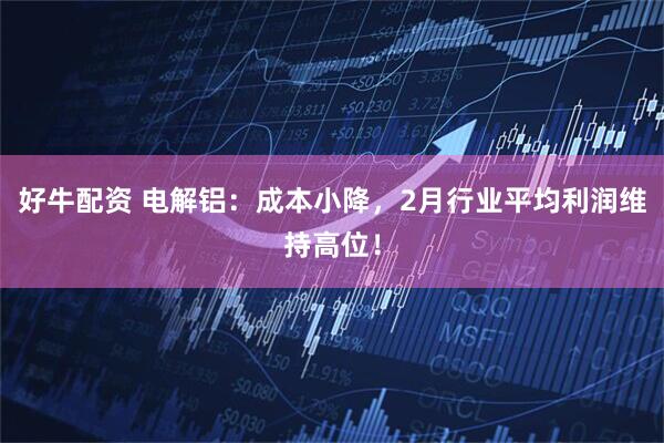 好牛配资 电解铝：成本小降，2月行业平均利润维持高位！
