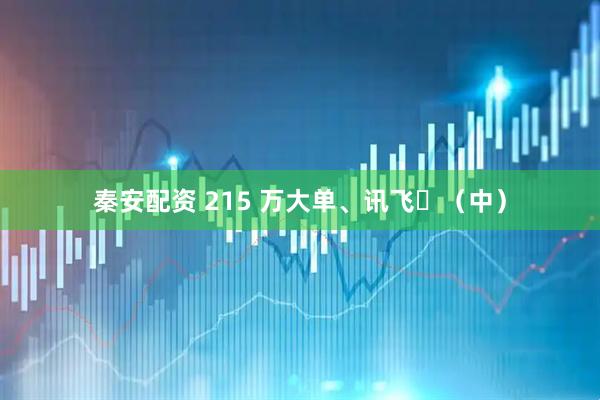 秦安配资 215 万大单、讯飞‌（中）