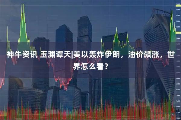 神牛资讯 玉渊谭天|美以轰炸伊朗，油价飙涨，世界怎么看？