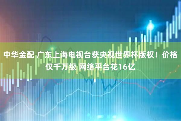 中华金配 广东上海电视台获央视世界杯版权！价格仅千万级 网络平台花16亿