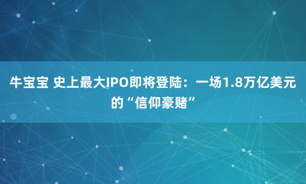 牛宝宝 史上最大IPO即将登陆：一场1.8万亿美元的“信仰豪赌”