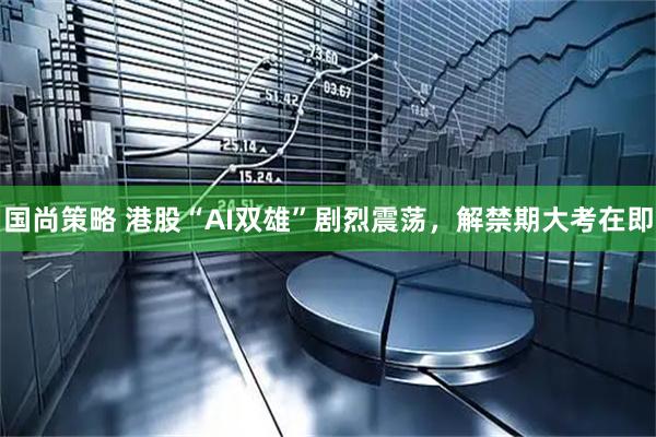 国尚策略 港股“AI双雄”剧烈震荡，解禁期大考在即